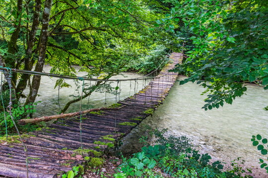 suspension pedestrian bridge in the valley of the Shareula river with rare plants and trees, Georgia