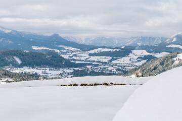 Fototapeta na wymiar Rosenau in Winter Wonderland, Upperaustria