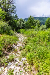 Trail in the valley of the Shareula River with rare plants and trees, Georgia