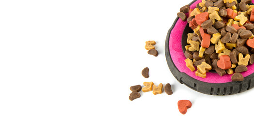 Dry dog food isolated on white .Free space for text. Wide photo.