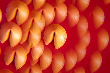 Kaleidoscopic Fortune Cookie with Red Background