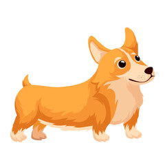 Corgi vector illustration. Cartoon isolated adorable dog with cute cheerful face and love in eyes, head and paws, portrait of little puppy character and friend companion for walk and fun games