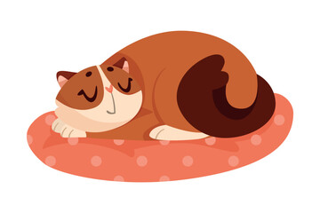 Funny Cat Cuddling on Pillow as Domestic Pet Vector Illustration