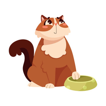 Funny Cat Domestic Pet Sitting at Feed Bowl Vector Illustration