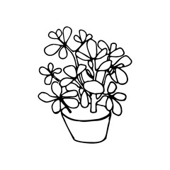 contour tattoo coloring pot of flowers greenery plant landscaping landscape design landscaping decoration living plant botany