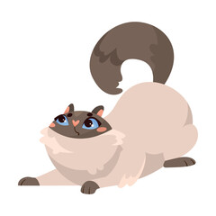 Funny Cat Domestic Pet Playing Wiggling Tail Vector Illustration