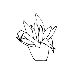 contour tattoo coloring pot of flowers greenery plant landscaping landscape design landscaping decoration living plant botany