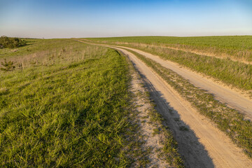 Early summer dirt road through the fields.