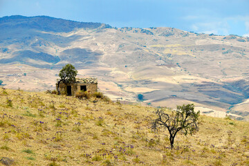 Sicilian landscape with old house, pasture with thistles, Sicily, Italy, Europe © Klara Bakalarova