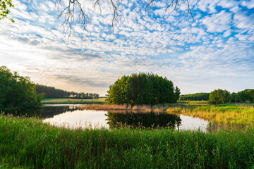 A typical landscape with grain fields, lakes and trees in Brandenburg, Germany
