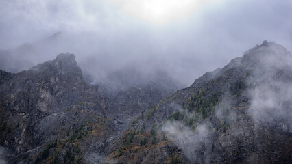 Fog with snow and clouds moves to stone mountains with spruce trees and forest on steep rocks after rain in Altai in summer.