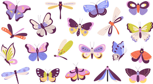 Isolated decorative butterflies, butterfly and moth. Floral insect, exotic dragon fly. Spring flying insects, summer cartoon racy garden animals vector collection