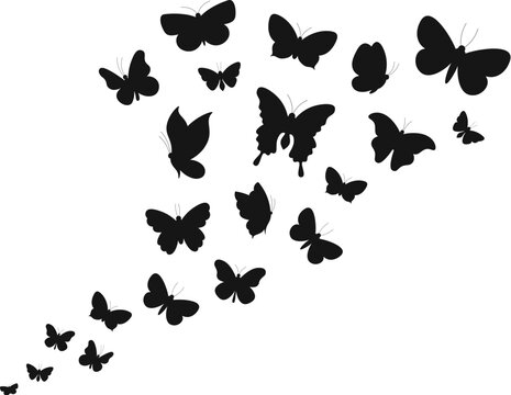 Flying butterflies black icons. Tattoo stencil silhouettes, spring butterfly graphics. Various insect fly up in sky, isolated garden insects racy vector background