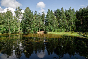 Fototapeta na wymiar Picturesque forest lake on a summer day