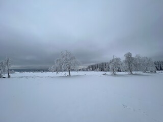 Winter im Erzgebirge bei Annaberg / Grumbach