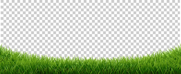 Green Grass Panorama Isolated Transparent Background