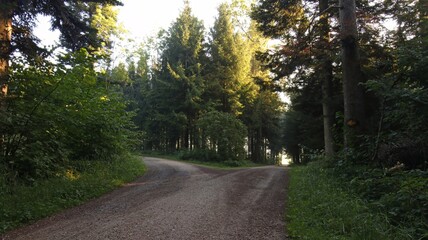 Fototapeta premium Wohin führt das Schicksal