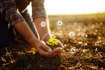 Hand of expert farmer collect soil and checking soil health before growth a seed of vegetable. Modern technology in agriculture. Organic Farming Concept - obrazy, fototapety, plakaty