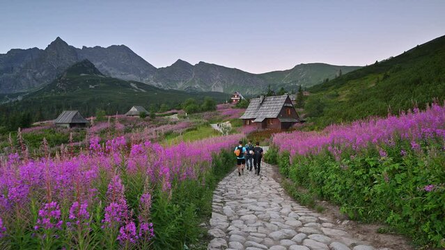Beautiful summer morning in the mountains - Hala Gasienicowa in Poland - Tatras