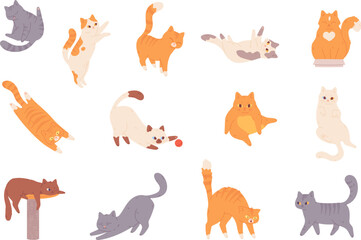 Cat behavior. Feline poses, cartoon cats characters funny emotions, afraid orange kitten scared animal pet cautiously pose and body language, happy playful pets vector illustration