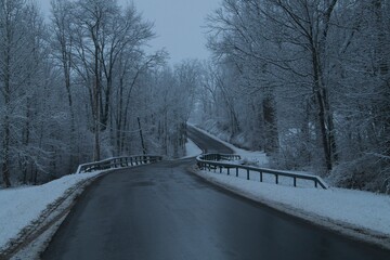 winter road in the park