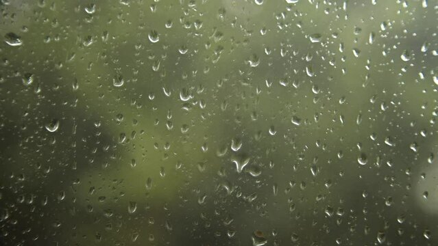 raindrops sliding down on a window with green bushy background