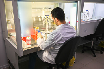 The researcher's work with cell culture in a laminar box.
