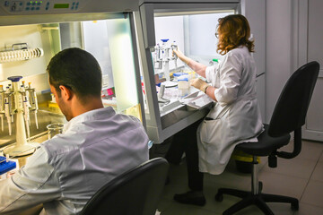 The researcher's work with cell culture in a laminar box.