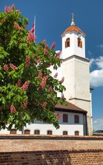 Fototapeta premium Špilberk Castle, monument of the city of Brno