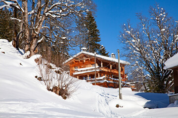 Naklejka premium Winter in alps