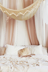 Vintage bohemian bedroom with baldaquin © aprilante