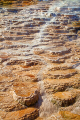 Mammoth hot springs