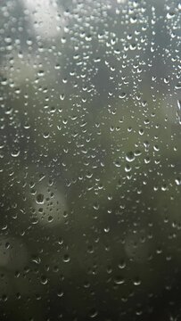 raindrops sliding down on a window with green bushy background