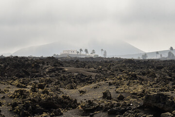 Fototapeta na wymiar Agricultural exploitation in volcanic lands in Tinajo, Lanzarote