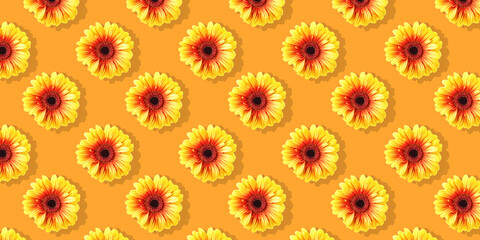 Daisy flowers seamless