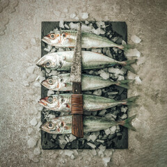 top view picture of fresh food concept illustrated by uncooked seabass fish © Viorel Sima