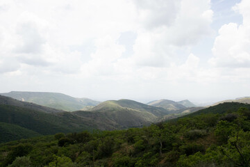 paisaje verde con cielo nubaldo
