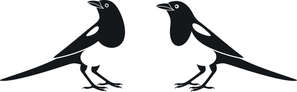 Magpie logo. Isolated magpie on white background