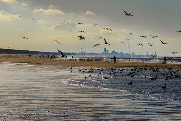Sunny winter day on the Katwijk beach with the Hague skyline in the background