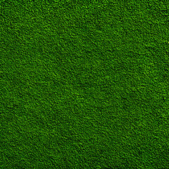 Obraz na płótnie Canvas High-Resolution Image of Green Moss Texture Background, Showcasing the Natural Beauty and Textural Detail of Moss, Perfect for Adding a Fresh and Organic Element to Any Design Project