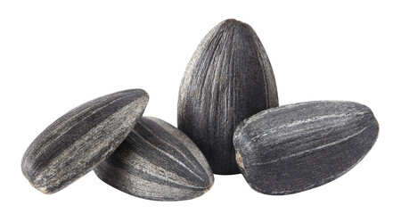 Delicious sunflower black seeds cut out