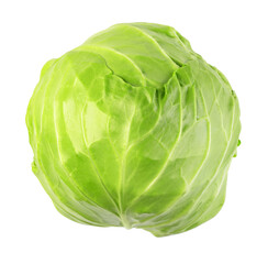 green cabbage - 566038540