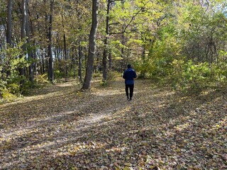 Fototapeta premium person walking in the park