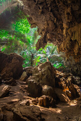 Landscape of cave and tree Hup Pa Tat, Uthai Thani, Thailand