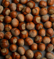 beautiful hazelnuts on a gray background close-up