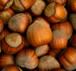 beautiful hazelnuts on a wooden background close-up