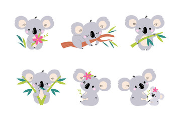 Koala Bear as Australian Animal on Eucalyptus Branch and with Baby Vector Set © topvectors