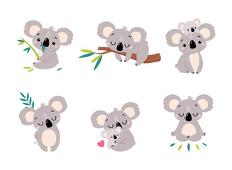 Koala Bear as Australian Animal on Eucalyptus Branch and with Baby Vector Set © topvectors
