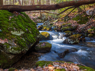Fototapeta na wymiar Brook flowing under a fallen tree