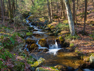 Small waterfalls in Ring Brook